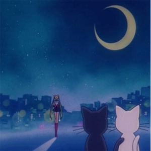 无码高清添逼摸核
