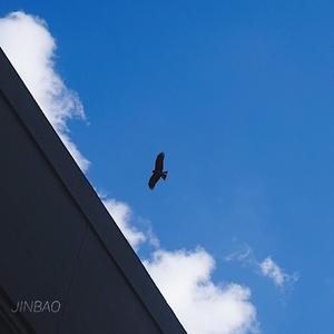 无码高清添逼摸核
