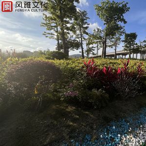 无码高清添逼摸核
